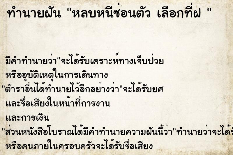 ทำนายฝัน หลบหนีซ่อนตัว เลือกที่ฝ 